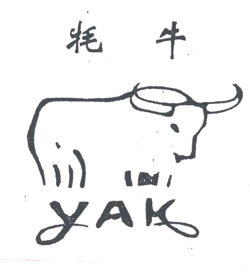 牦牛;YAK