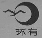 环有