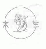 木生