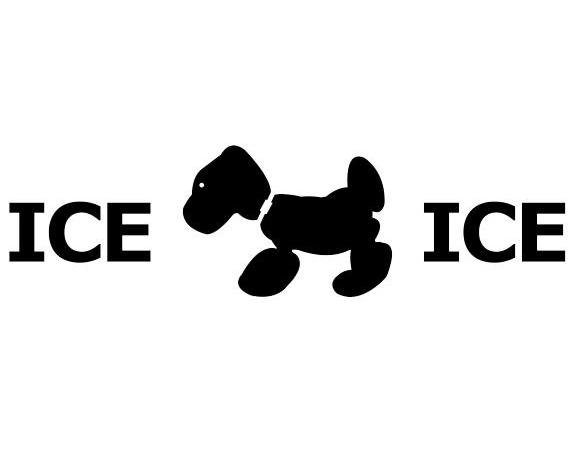 ICE ICE
