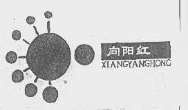 向阳红