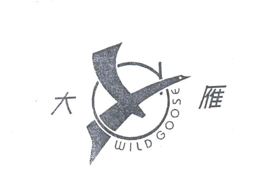 大雁;WILDGOOSE