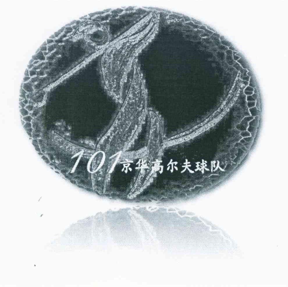 101京华高尔夫球队