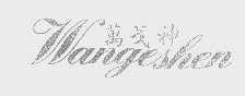 万戈神