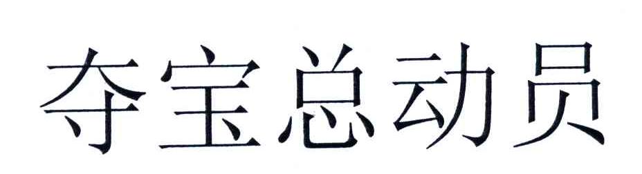 夺宝总动员