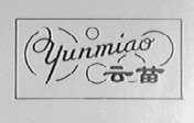 云苗