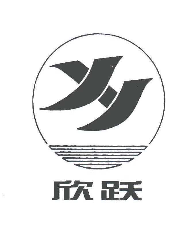欣跃;XY