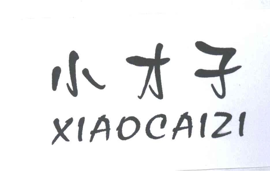 小才子