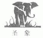 圣象