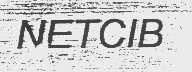 NETCIB