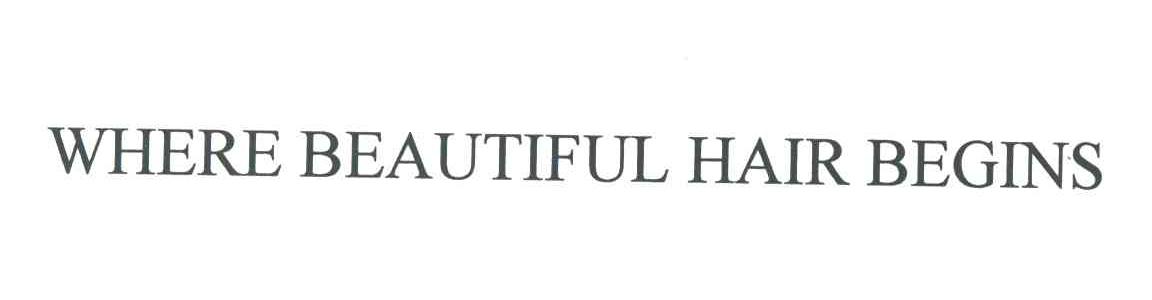 WHERE BEAUTIFUL HAIR BEGINS