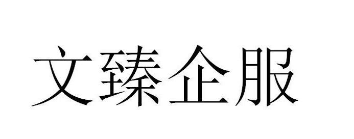 文臻企服