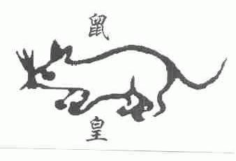 鼠皇