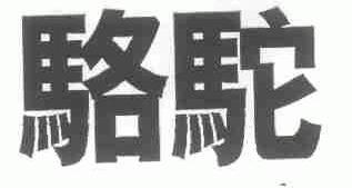 骆驼