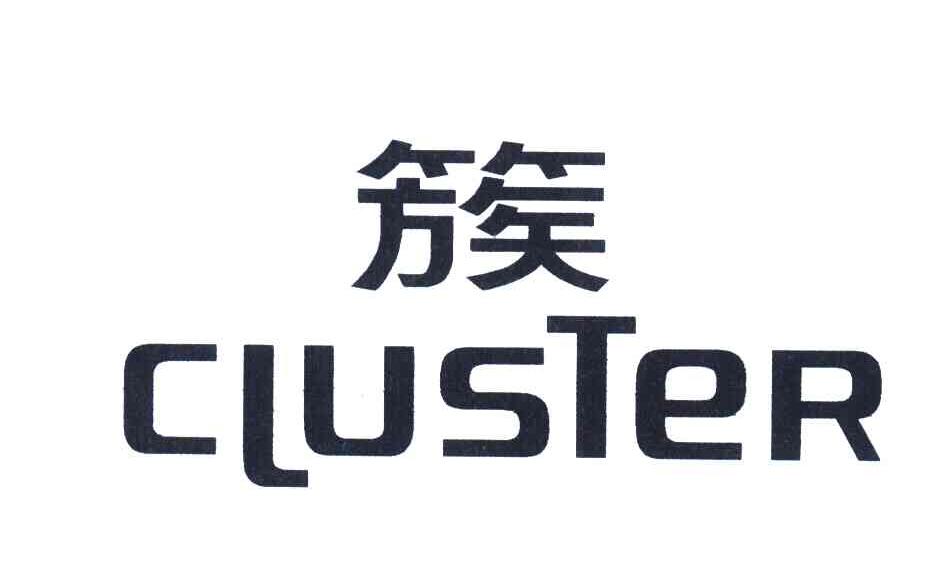 簇;CLUSTER