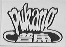 普康