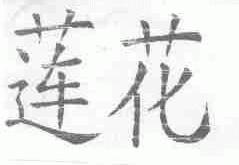 莲花