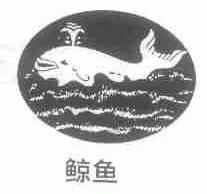 鲸鱼