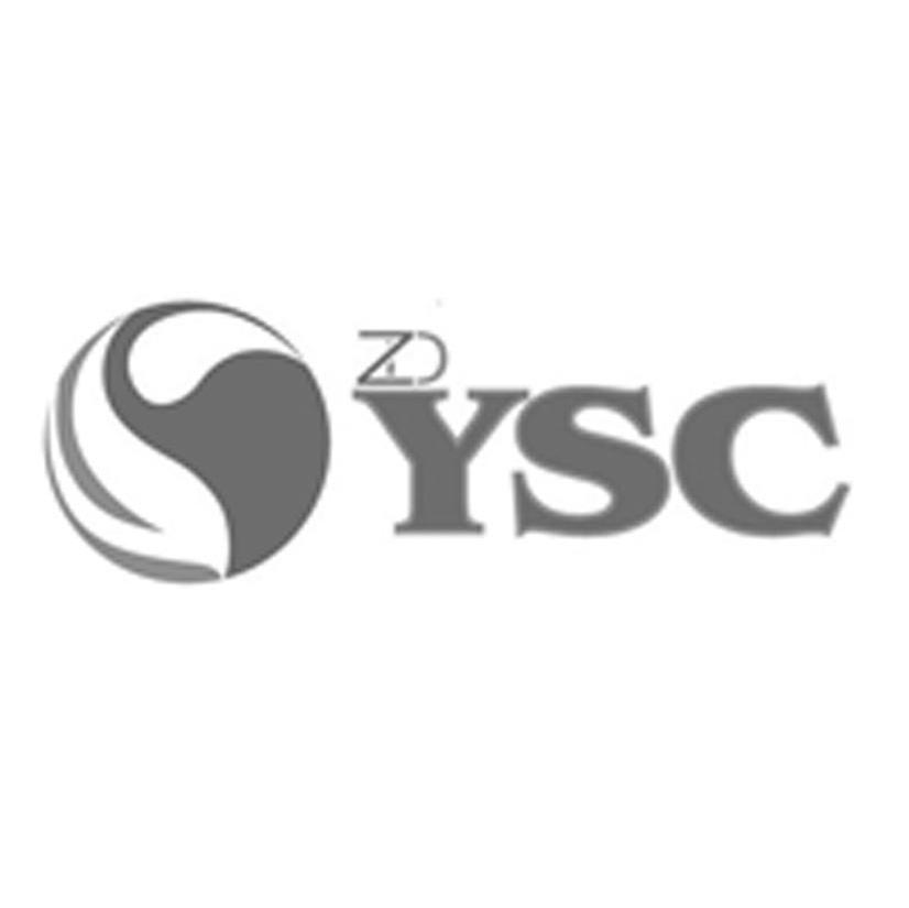 YSC ZD