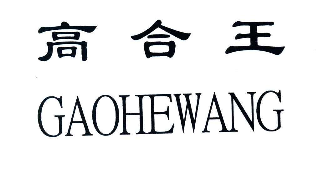 高合王