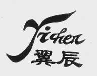 翼辰