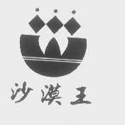 沙漠王