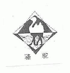 骆驼