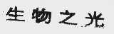 生物之光