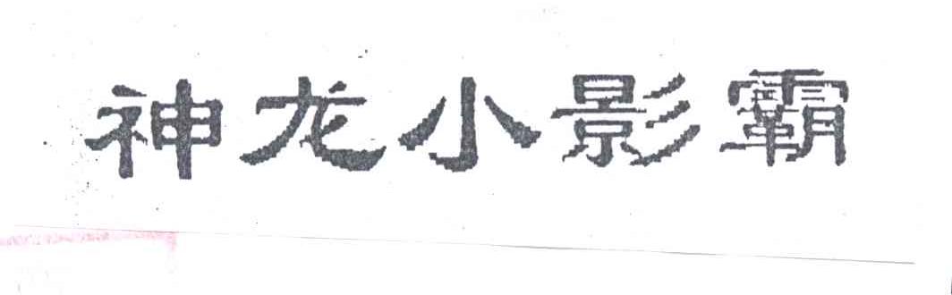 神龙小影霸