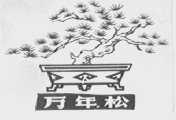 万年松