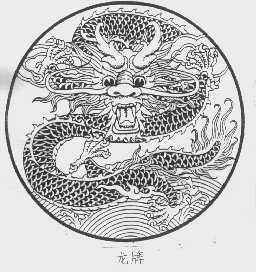 龙