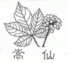 嵩仙