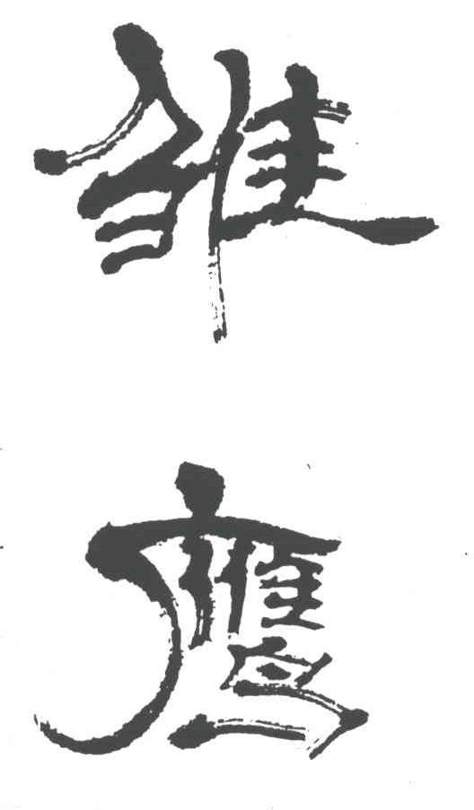 雏鹰