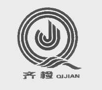 齐检
