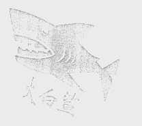 大白鲨