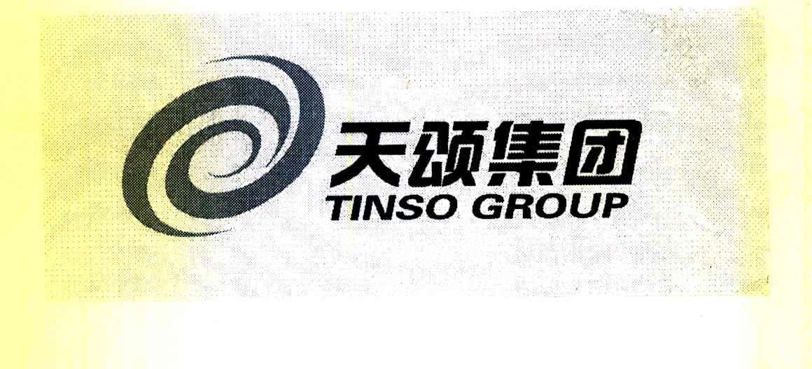 天颂集团 TINSO GROUP