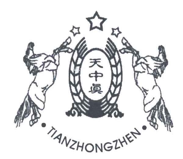 天中真