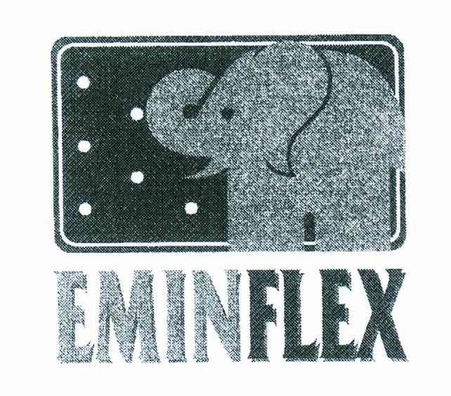 EMINFLEX