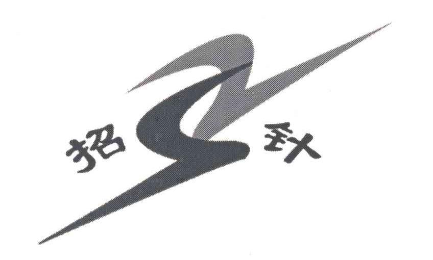 招针