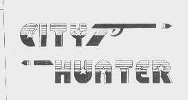 CITY HUNTER