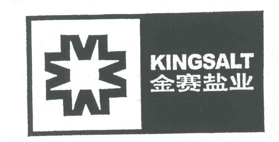 金赛;KINGSALT