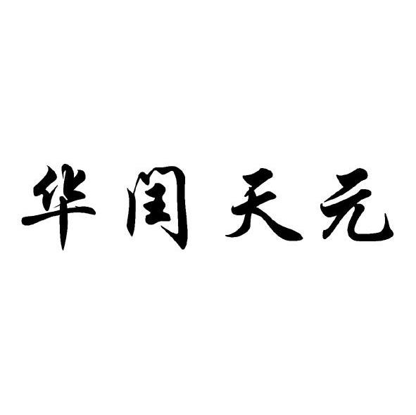 华闰天元
