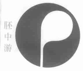 胚中游