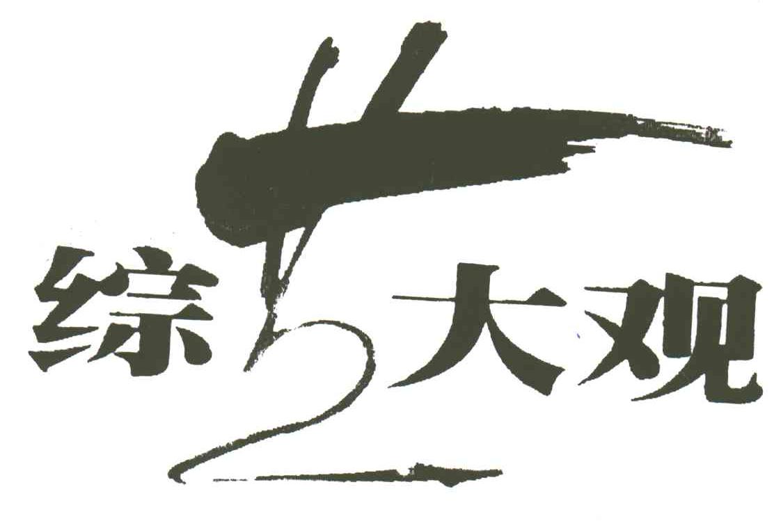 综艺大观