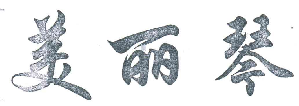 美丽琴