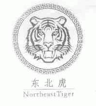 东北虎;NORTHEAST TIGER