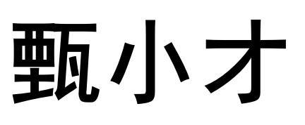 甄小才