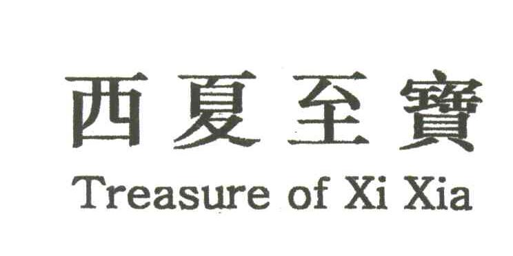西夏至宝;TREASURE OF XI XIA