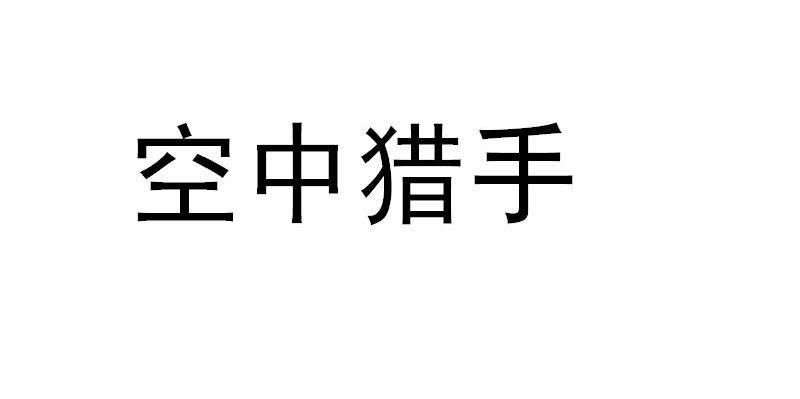 空中猎手