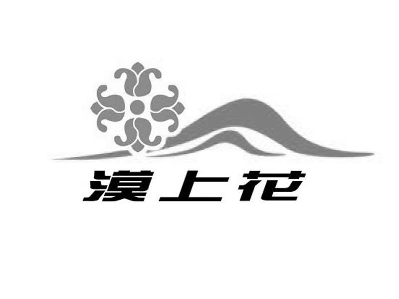 漠上花